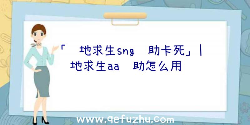 「绝地求生sng辅助卡死」|绝地求生aa辅助怎么用